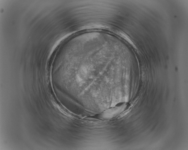 X0000074231116200609081614