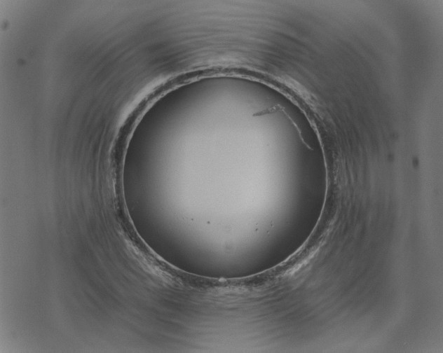 X0000074231118200609081614