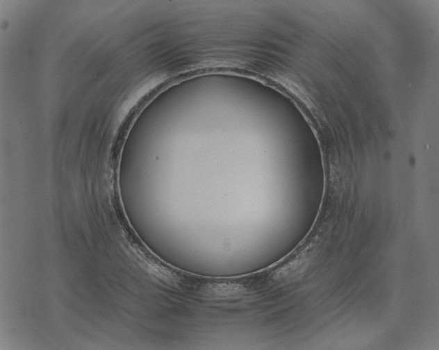 X0000074231119200609081614