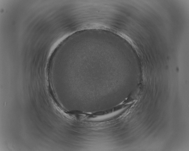 X0000074231120200609081614