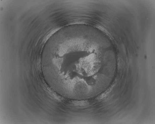 X0000074231121200609081614