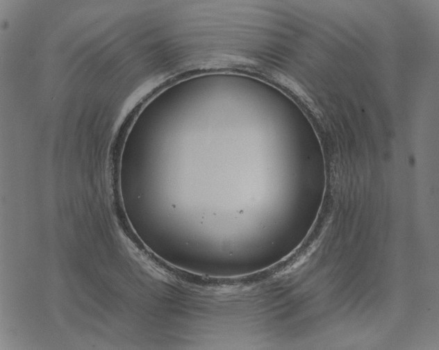 X0000074231122200609081614