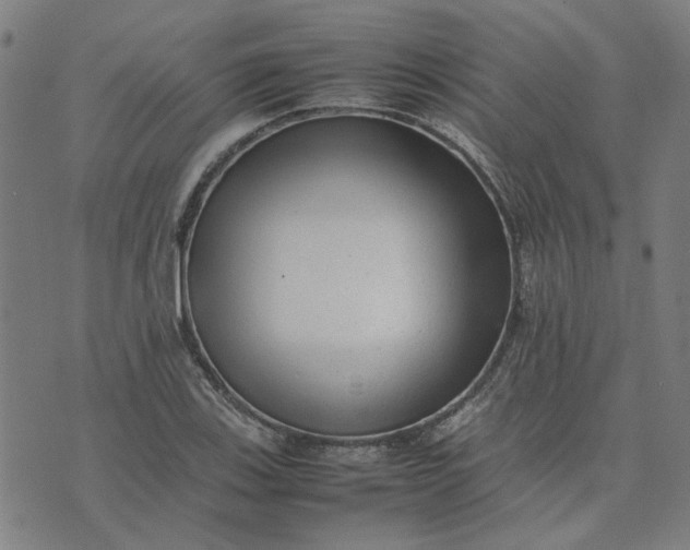 X0000074231123200609081614