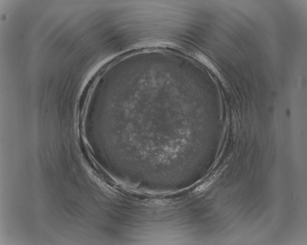 X0000074231124200609081614