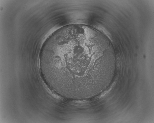 X0000074231125200609081614