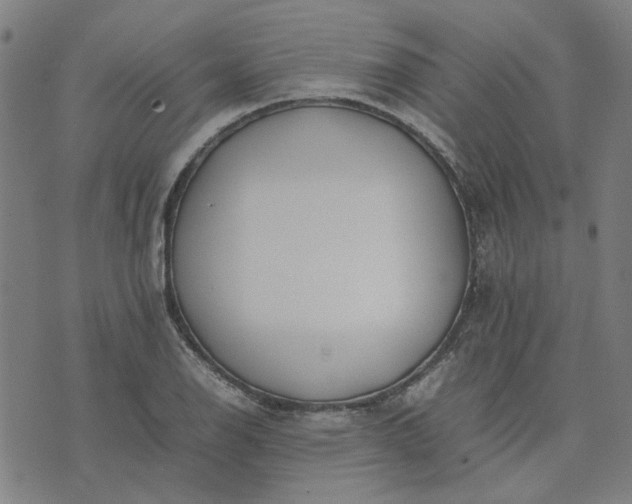 X0000074231126200609081614