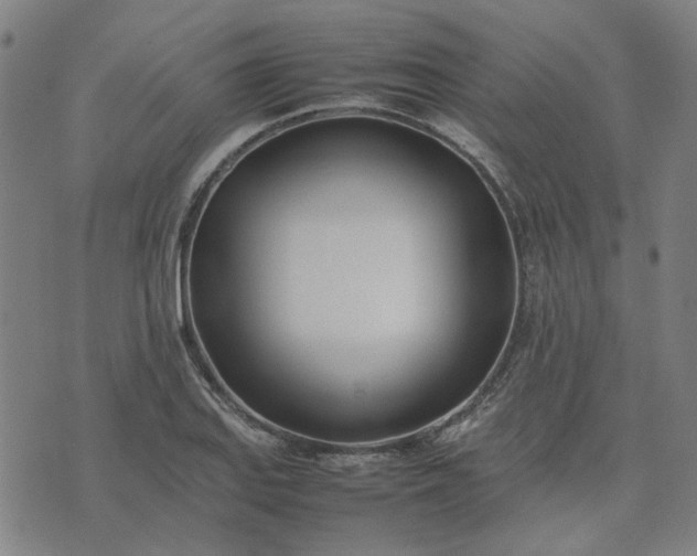 X0000074231127200609081614