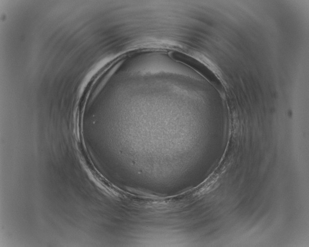 X0000074231128200609081614