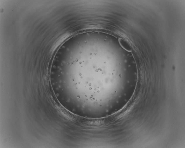 X0000074231129200609081614