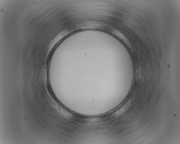 X0000074231130200609081614