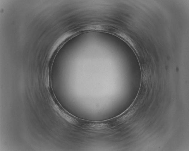 X0000074231131200609081614