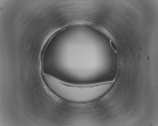 X0000074231132200609081614