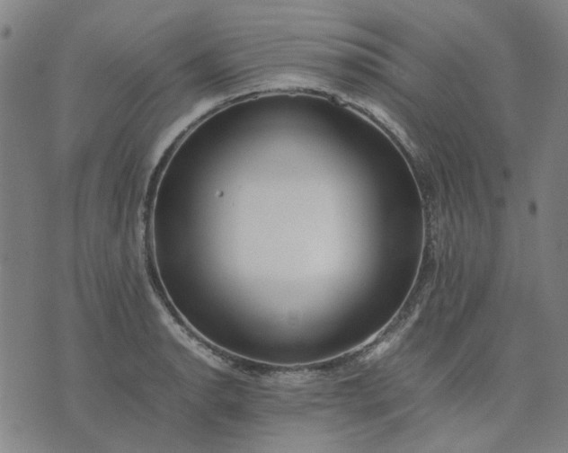 X0000074231134200609081614