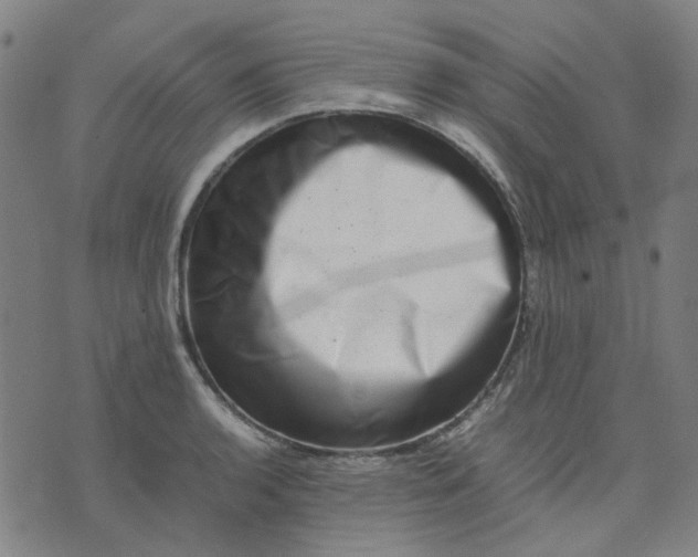 X0000074231136200609081614