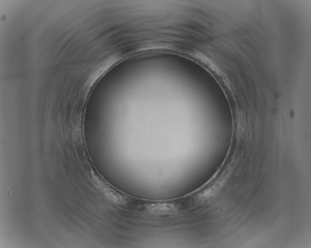 X0000074231137200609081614