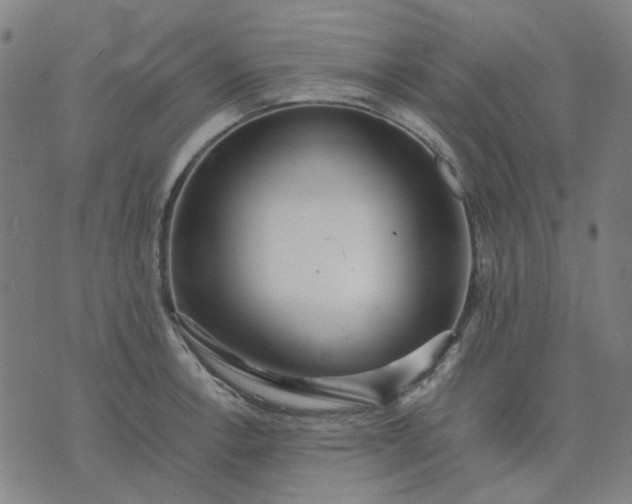 X0000074231138200609081614