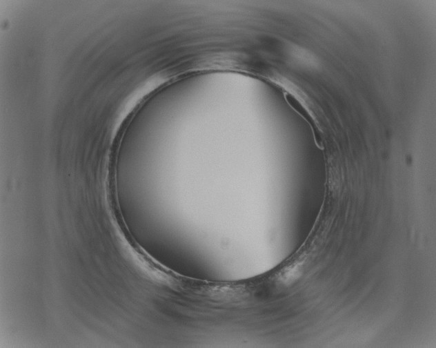 X0000074231139200609081614