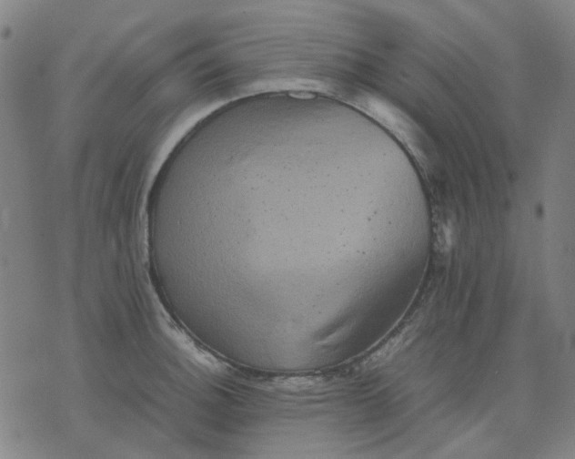 X0000074231140200609081614