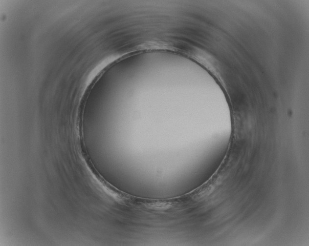 X0000074231141200609081614