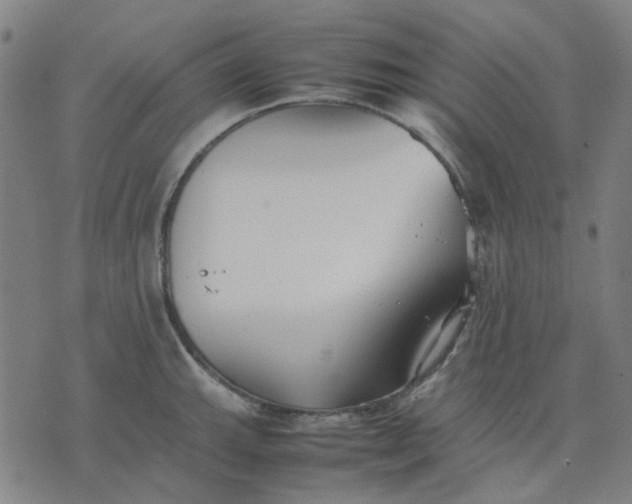 X0000074231143200609081614