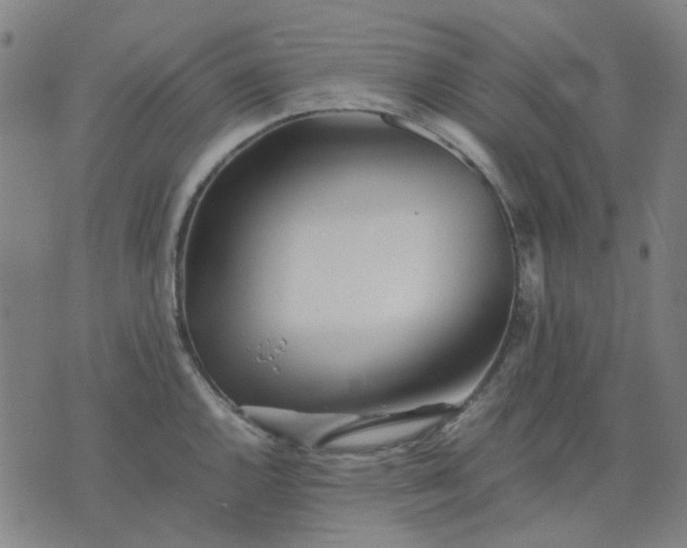 X0000074231144200609081614