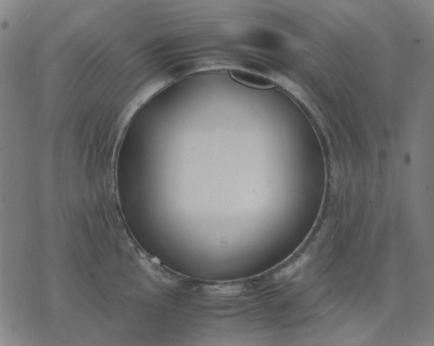 X0000074231145200609081614