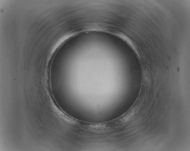 X0000074231147200609081614