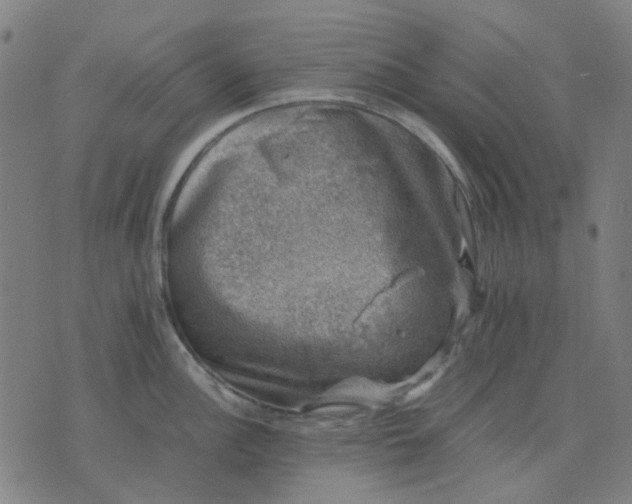 X0000074231148200609081614