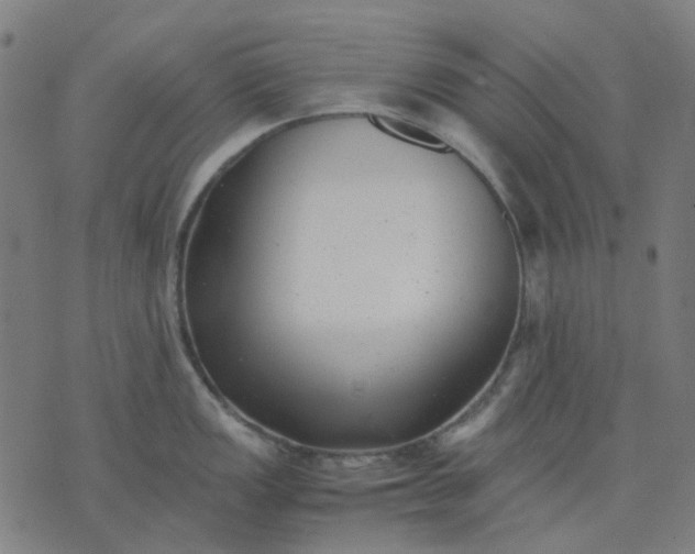 X0000074231149200609081614