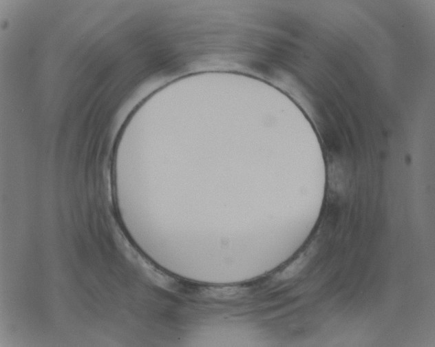 X0000074231150200609081614