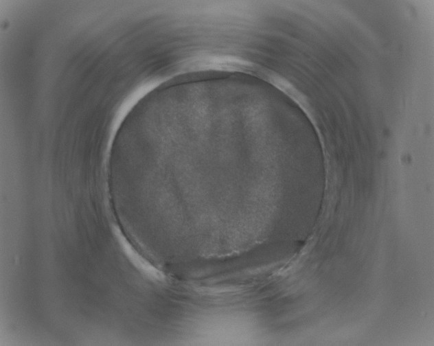 X0000074231152200609081614