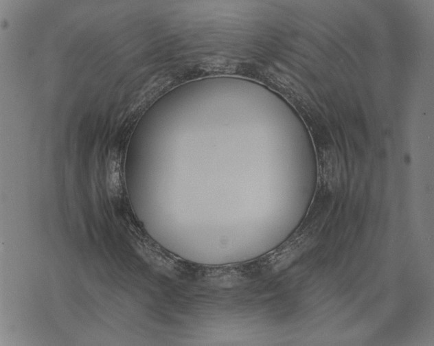 X0000074231154200609081614