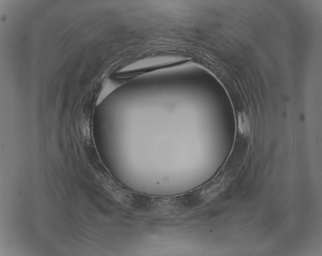 X0000074231155200609081614