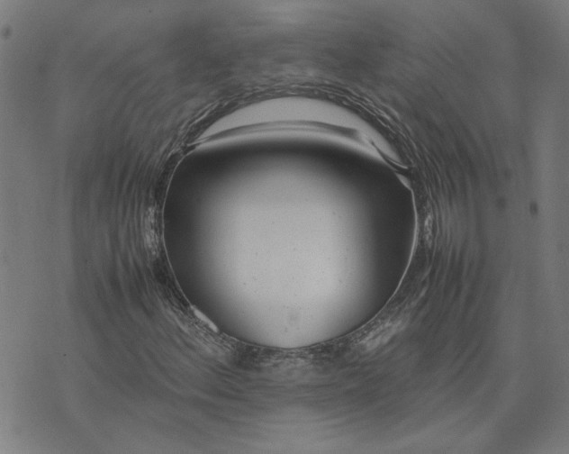 X0000074231156200609081614