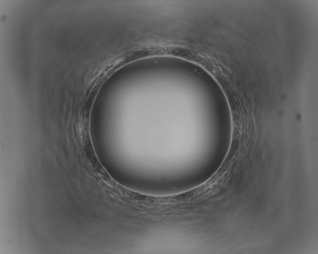 X0000074231157200609081614