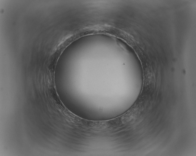 X0000074231158200609081614