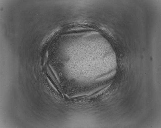 X0000074231159200609081614