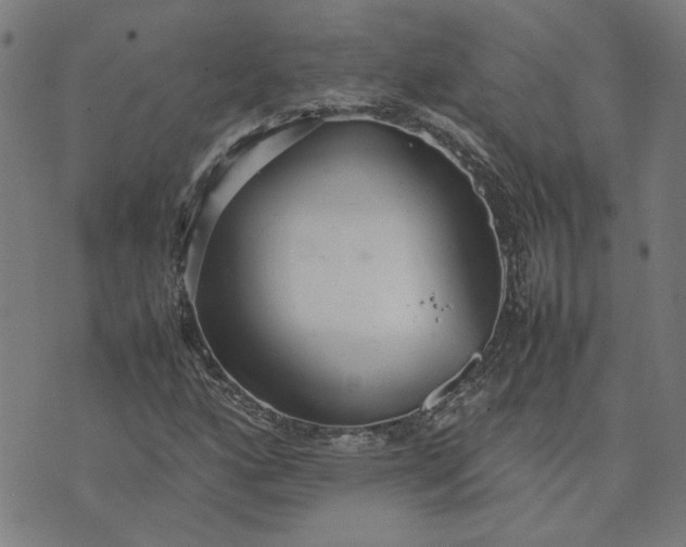 X0000074231160200609081614