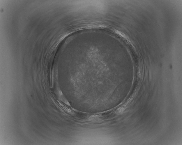 X0000074231161200609081614