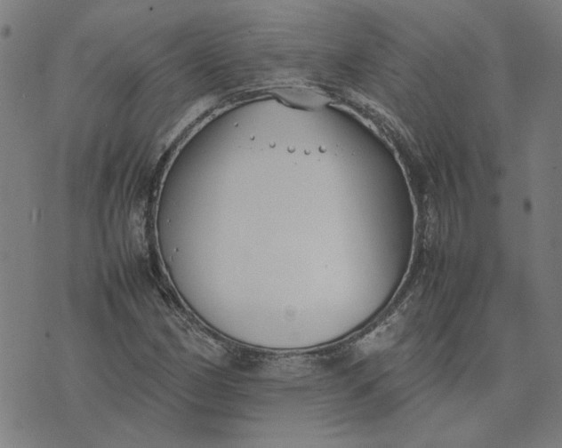 X0000074231162200609081614