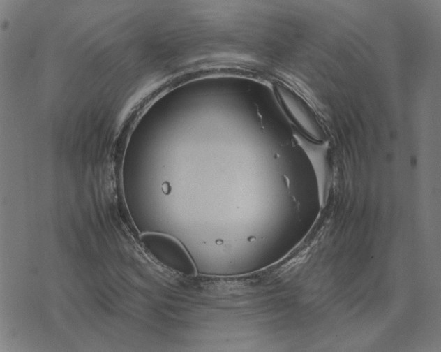 X0000074231164200609081613