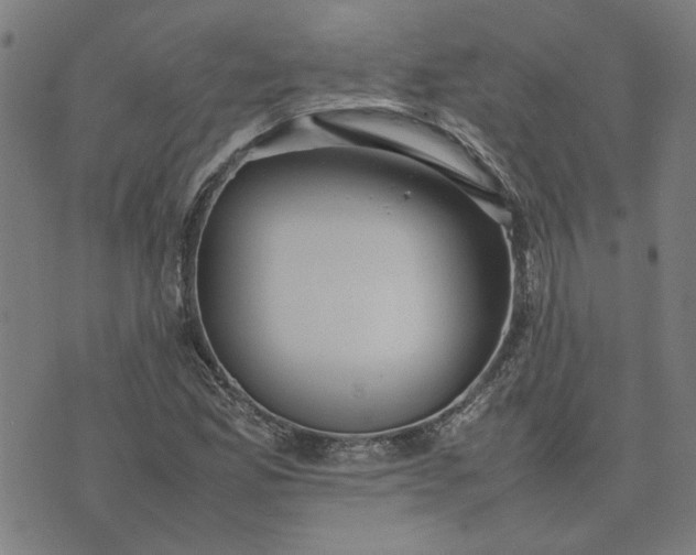 X0000074231165200609081613