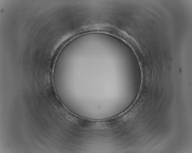 X0000074231166200609081613