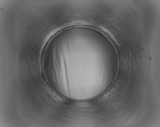 X0000074231168200609081613