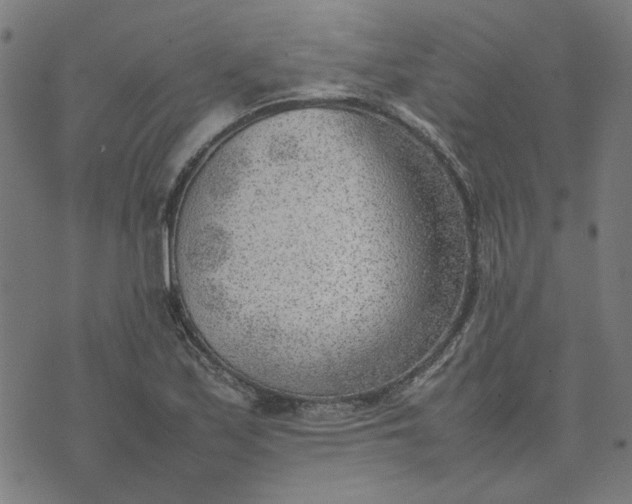 X0000074231171200609081613