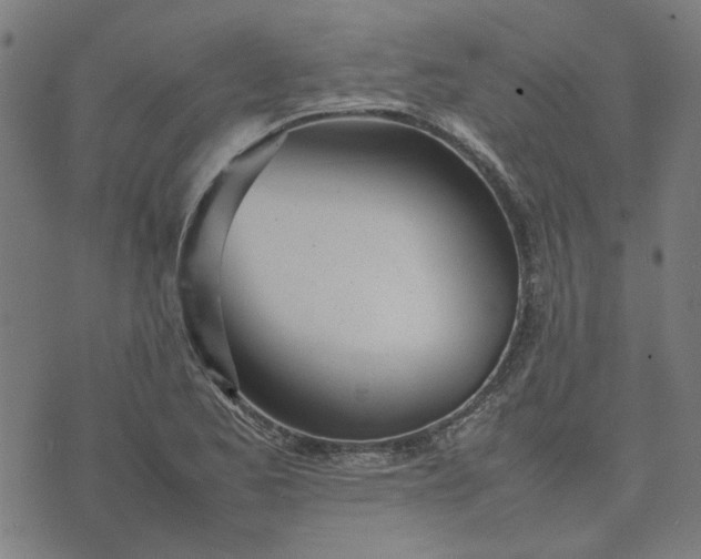 X0000074231173200609081613