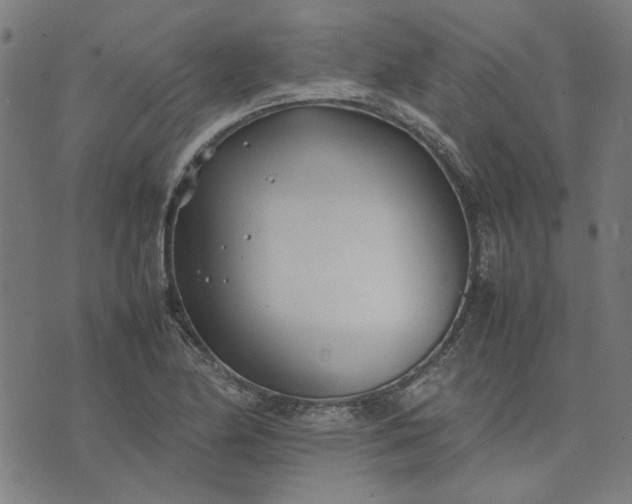 X0000074231174200609081613