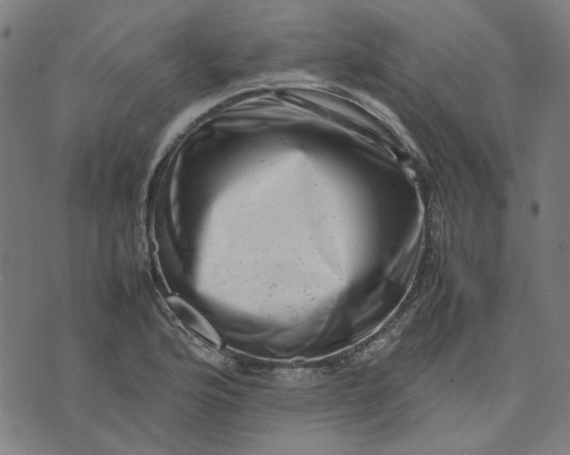 X0000074231176200609081613