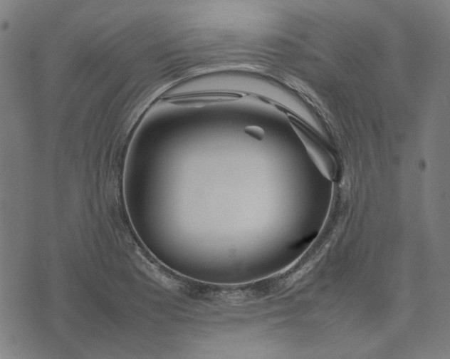 X0000074231177200609081613