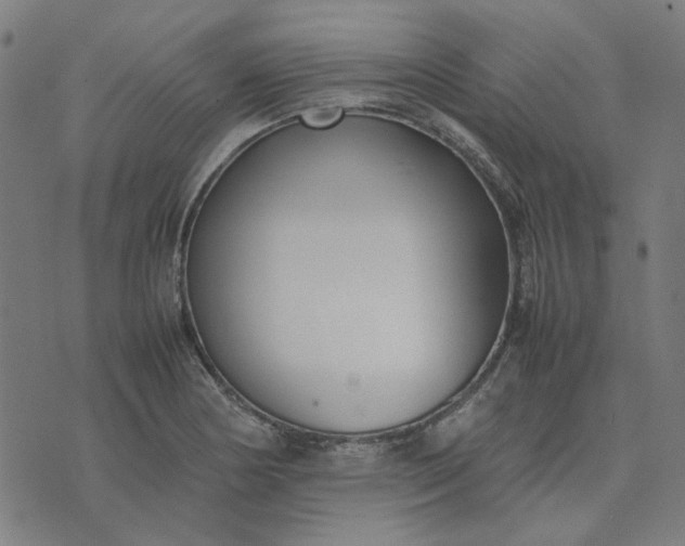 X0000074231178200609081613